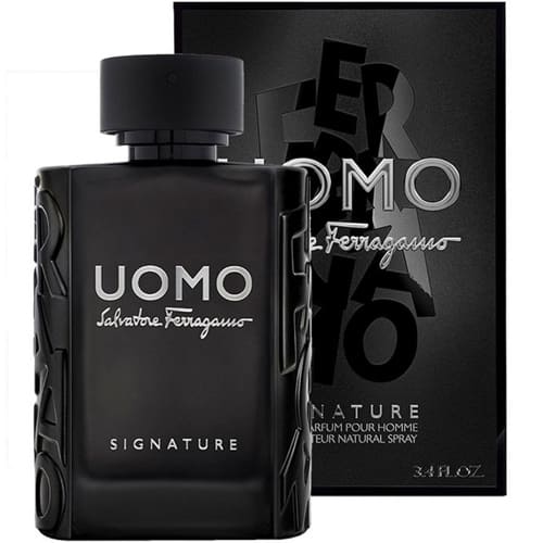 Perfume Uomo Signature Eau De Parfum 100ml Hombre